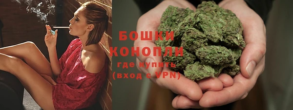 spice Пересвет